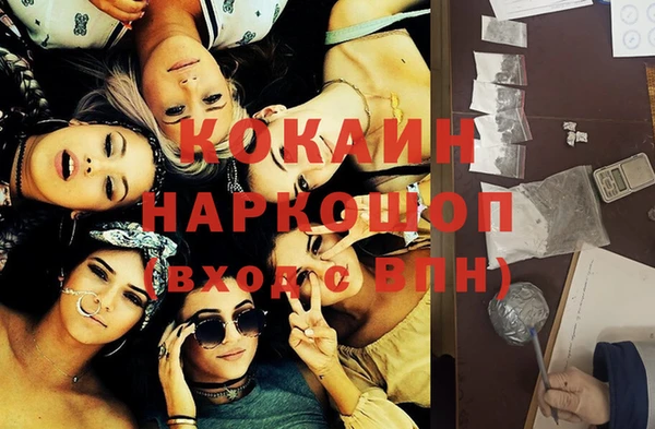 шишки Балахна
