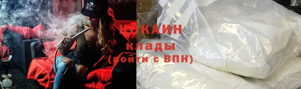 шишки Балахна