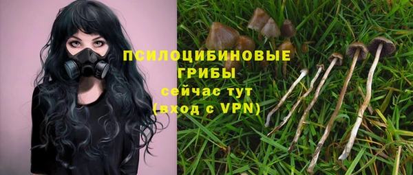 прущие крисы Армянск
