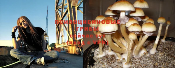 мяу мяу мука Арсеньев