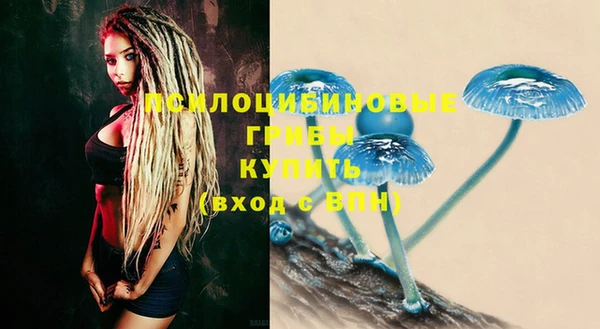 шишки Балахна
