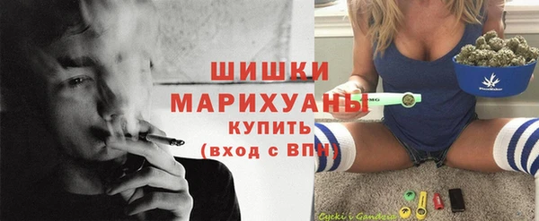 шишки Балахна