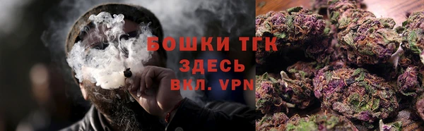 шишки Балахна